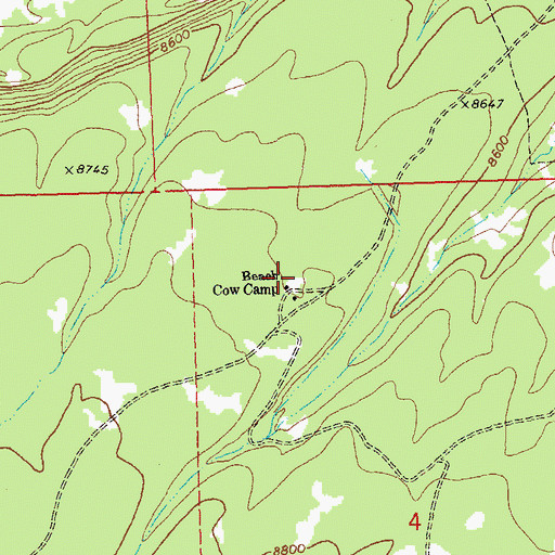Topographic Map of Beach Cow Camp, CO