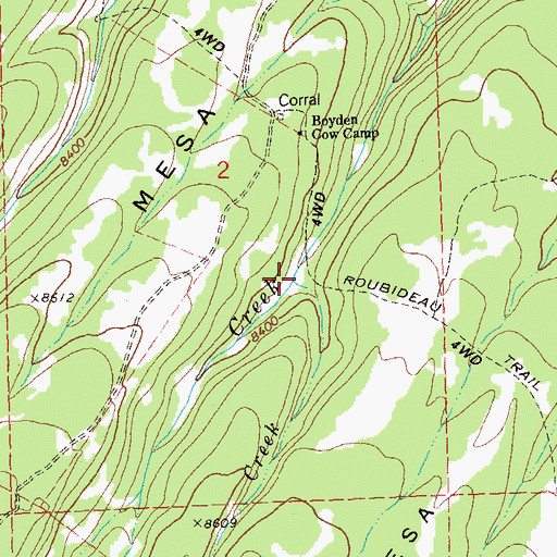 Topographic Map of Kitty Creek, CO