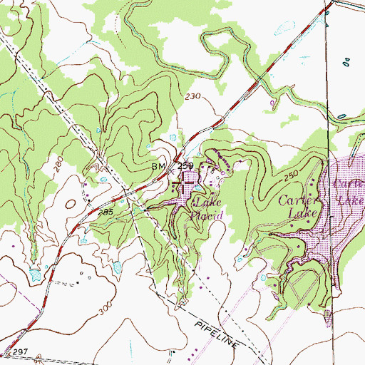 Topographic Map of Lake Placid Dam, TX