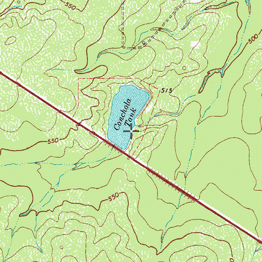 Topographic Map of Duval County Ranch Conchola Tank Dam, TX