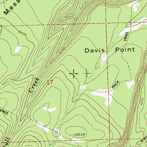 Topographic Map of Davis Point, CO