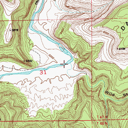 Topographic Map of Wild Steer Canyon, CO
