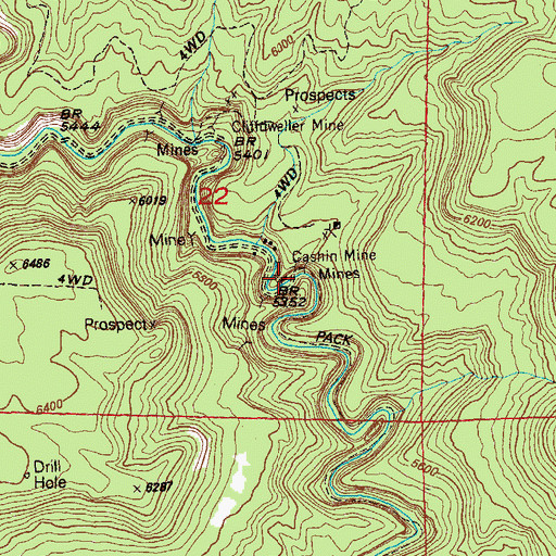 Topographic Map of Cashin Mine, CO