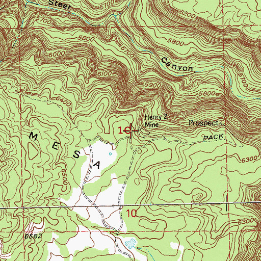 Topographic Map of Henry Z Mine, CO
