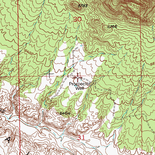 Topographic Map of Prospector Well, CO