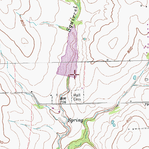 Topographic Map of Soil Conservation Service Site 35a Dam, TX