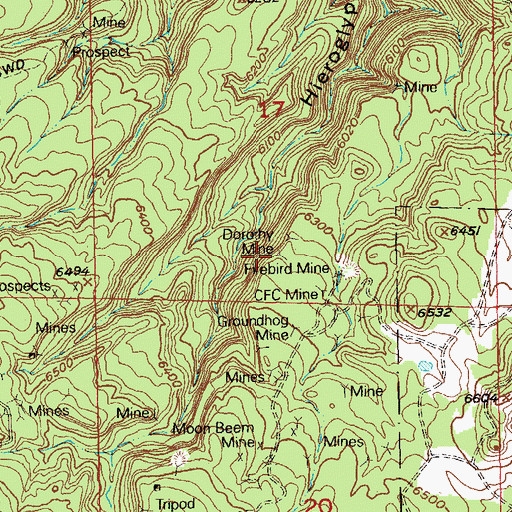 Topographic Map of Dorothy Mine, CO