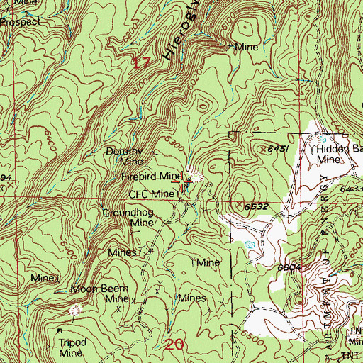 Topographic Map of Firebird Mine, CO