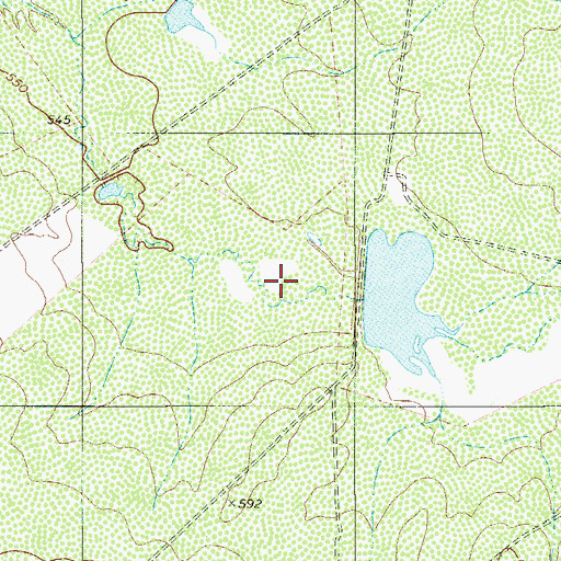 Topographic Map of Vaquillas Ranch Lake Number 4 Dam, TX
