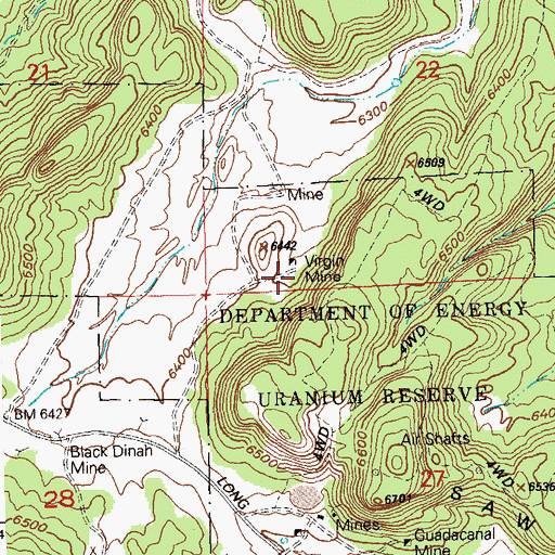 Topographic Map of Virgin Mine, CO