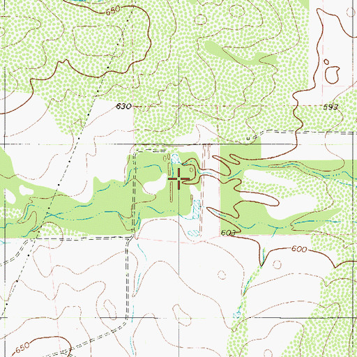 Topographic Map of Swisher Lake, TX