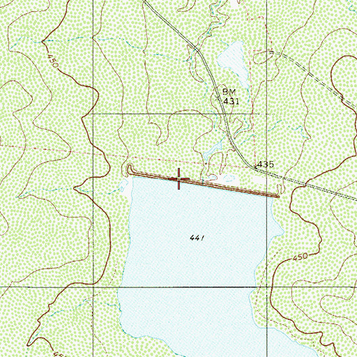 Topographic Map of Nicholson Lake Dam, TX