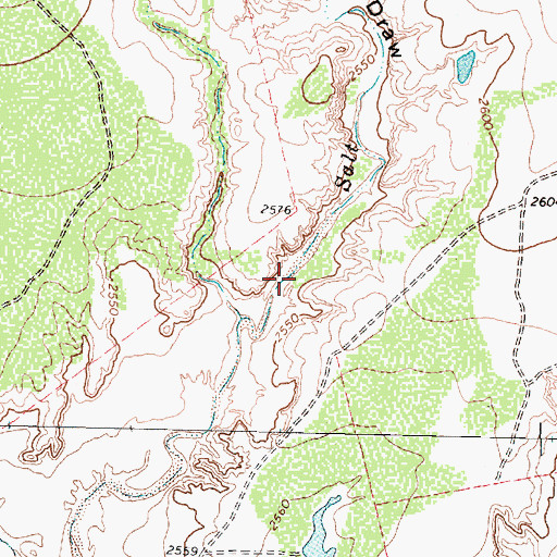 Topographic Map of Coleman Lake, TX