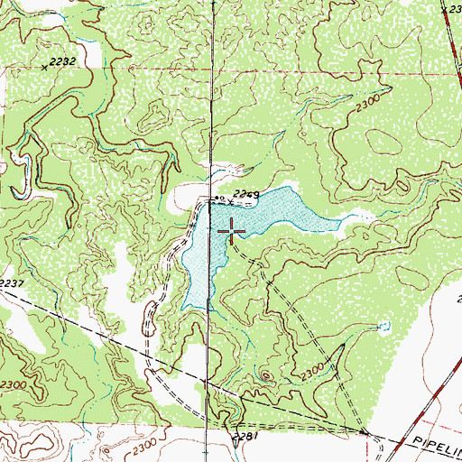 Topographic Map of Cogdell Ranch Lake, TX