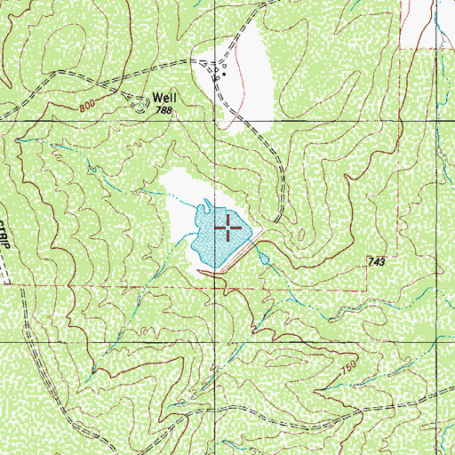 Topographic Map of George Lake, TX