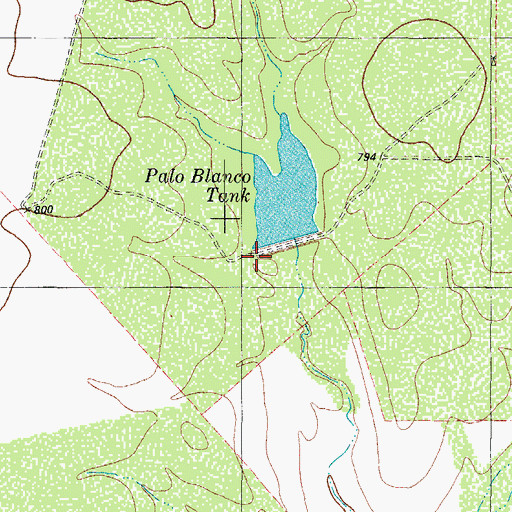 Topographic Map of Risinger Lake, TX