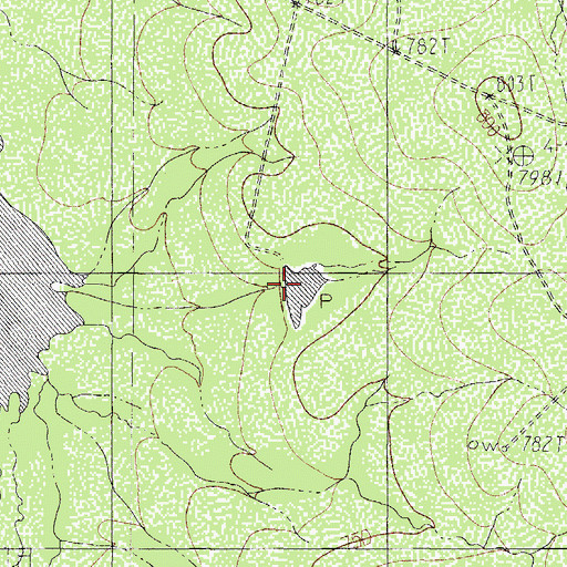Topographic Map of Farias Ranch Lake Number 3, TX