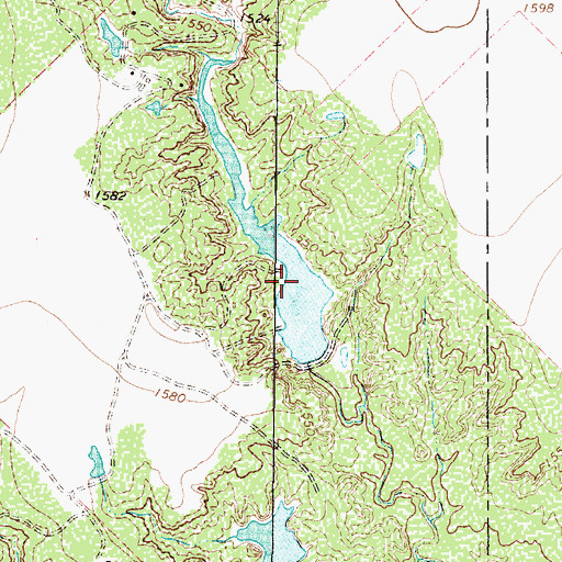 Topographic Map of Arnold Ranch Lake, TX