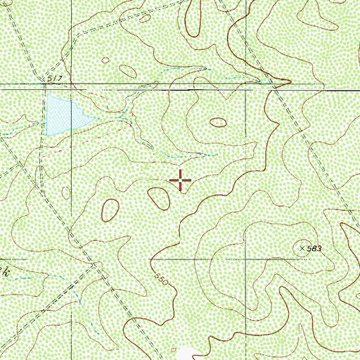 Topographic Map of L E Bruni Lake Number 3 Dam, TX