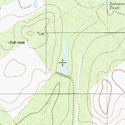 Topographic Map of Lauro Garza Lake Number 1, TX