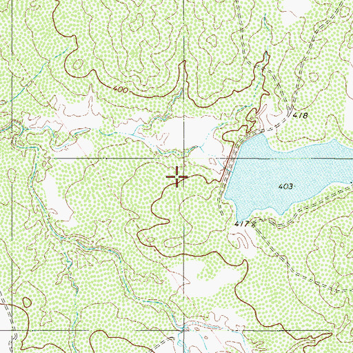Topographic Map of Jesse McNeel Lake Number 5 Dam, TX
