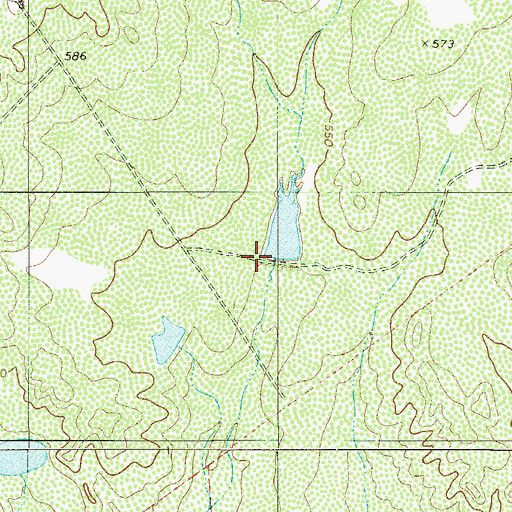 Topographic Map of Fred M Bruni Lake Number 1 Dam, TX