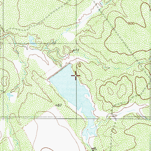 Topographic Map of L E Bruni Lake Number 4 Dam, TX