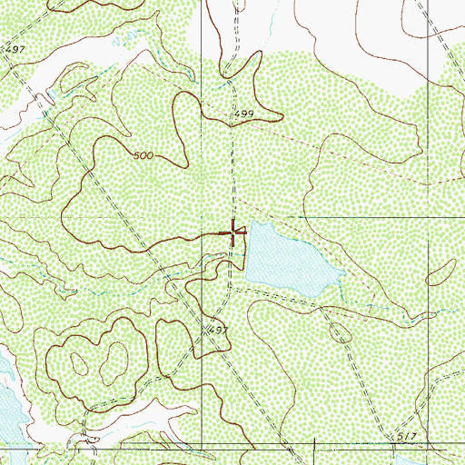 Topographic Map of L E Bruni Lake Number 2 Dam, TX