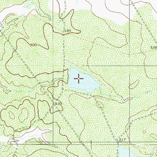 Topographic Map of L E Bruni Lake Number 2, TX
