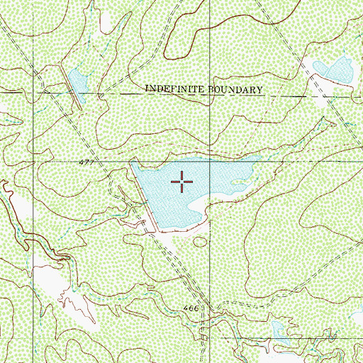Topographic Map of L E Bruni Lake Number 1, TX