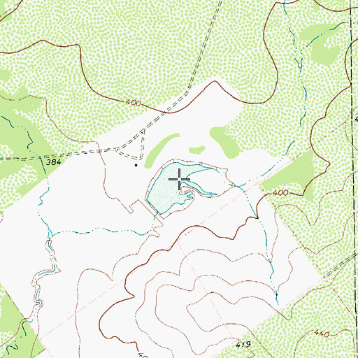 Topographic Map of P Flores Lake, TX