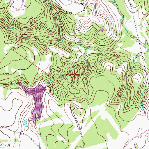 Topographic Map of Cryar Lake, TX