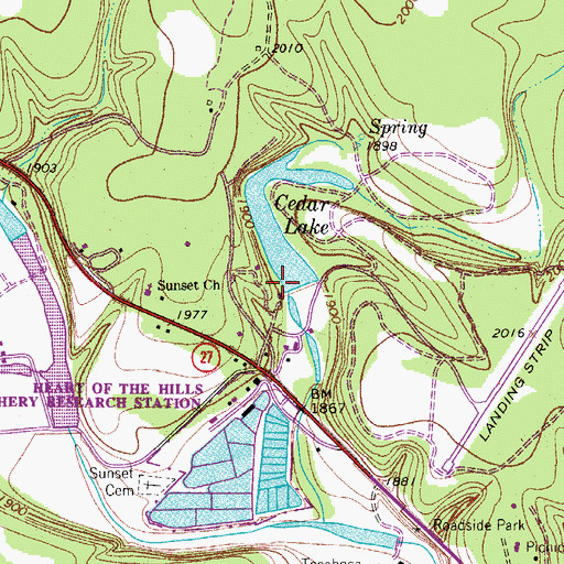 Topographic Map of Cedar Lake Dam, TX
