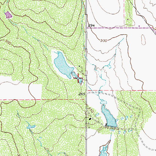Topographic Map of Taylor Lake Number 1, TX
