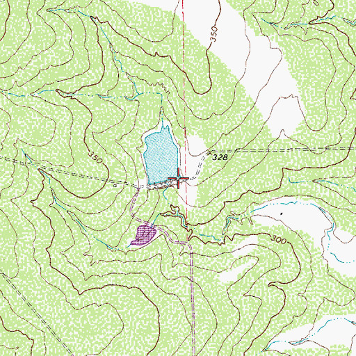 Topographic Map of Esse Lake Number 7 Dam, TX