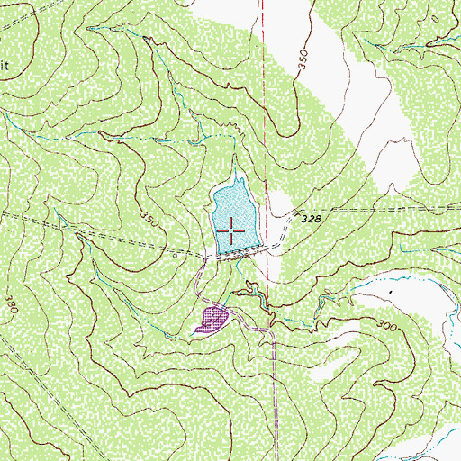 Topographic Map of Esse Lake Number 7, TX