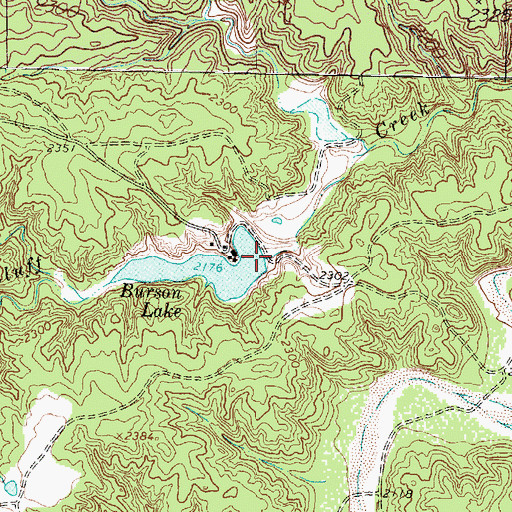 Topographic Map of Burson Lake Dam, TX