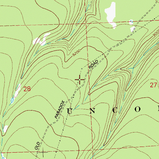 Topographic Map of Paradox Road, CO