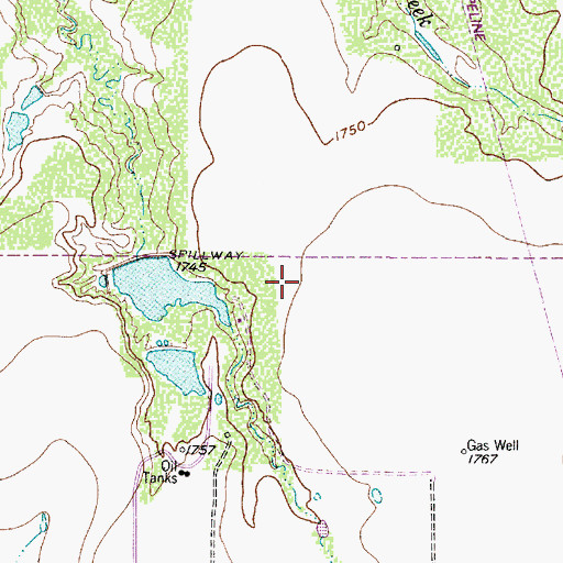 Topographic Map of Elmer Griffith Lake, TX