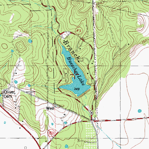 Topographic Map of Buescher Lake, TX