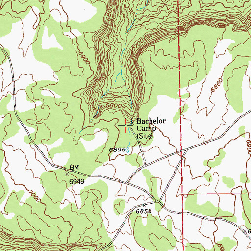 Topographic Map of Bachelor Camp, CO