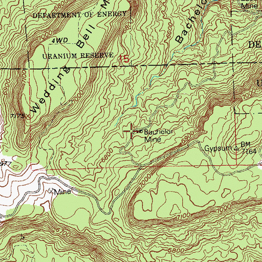 Topographic Map of Bachelor Mine, CO