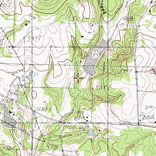 Topographic Map of Bass Lake, TX
