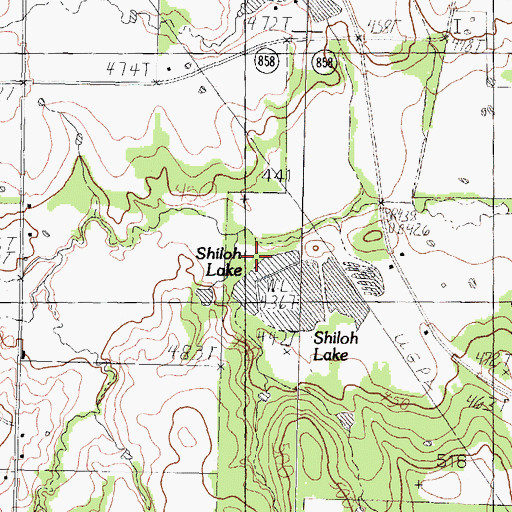 Topographic Map of Williams Lake Dam, TX