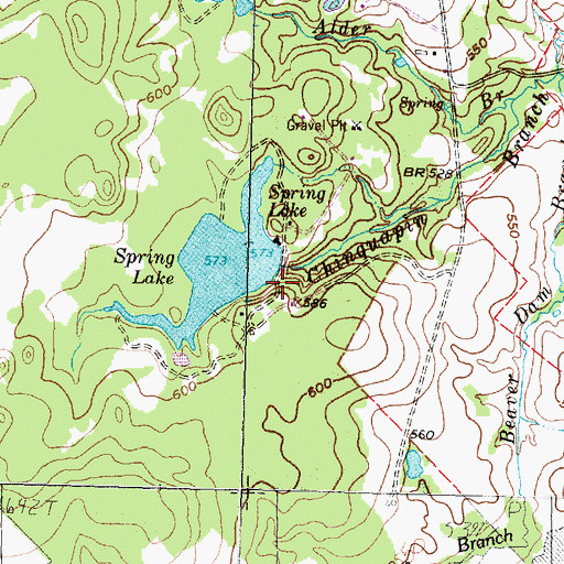Topographic Map of Spring Lake Dam, TX