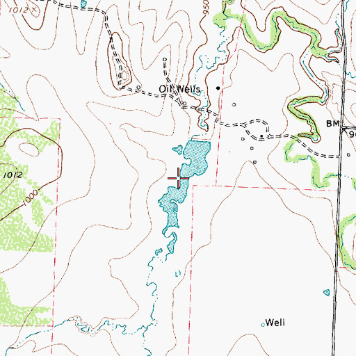 Topographic Map of Fields Lake, TX