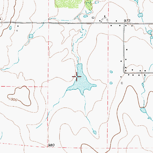 Topographic Map of Ferguson Lake, TX