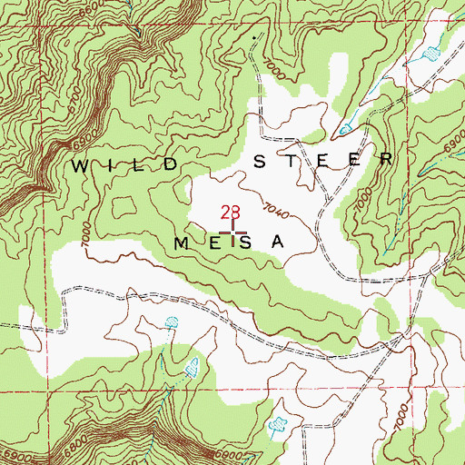 Topographic Map of Wild Steer Mesa, CO