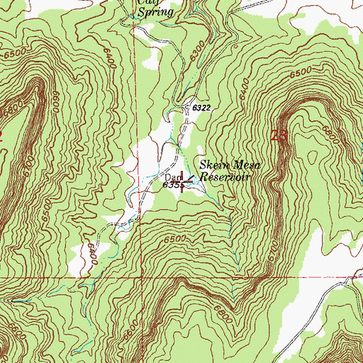 Topographic Map of Skein Mesa Reservoir, CO