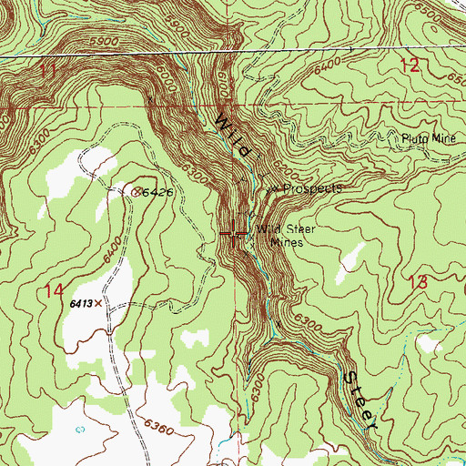 Topographic Map of Wild Steer Mines, CO